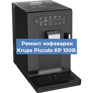 Чистка кофемашины Krups Piccolo KP 100B от накипи в Краснодаре